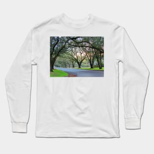 Tree Lined Street In Wilmington, NC Long Sleeve T-Shirt